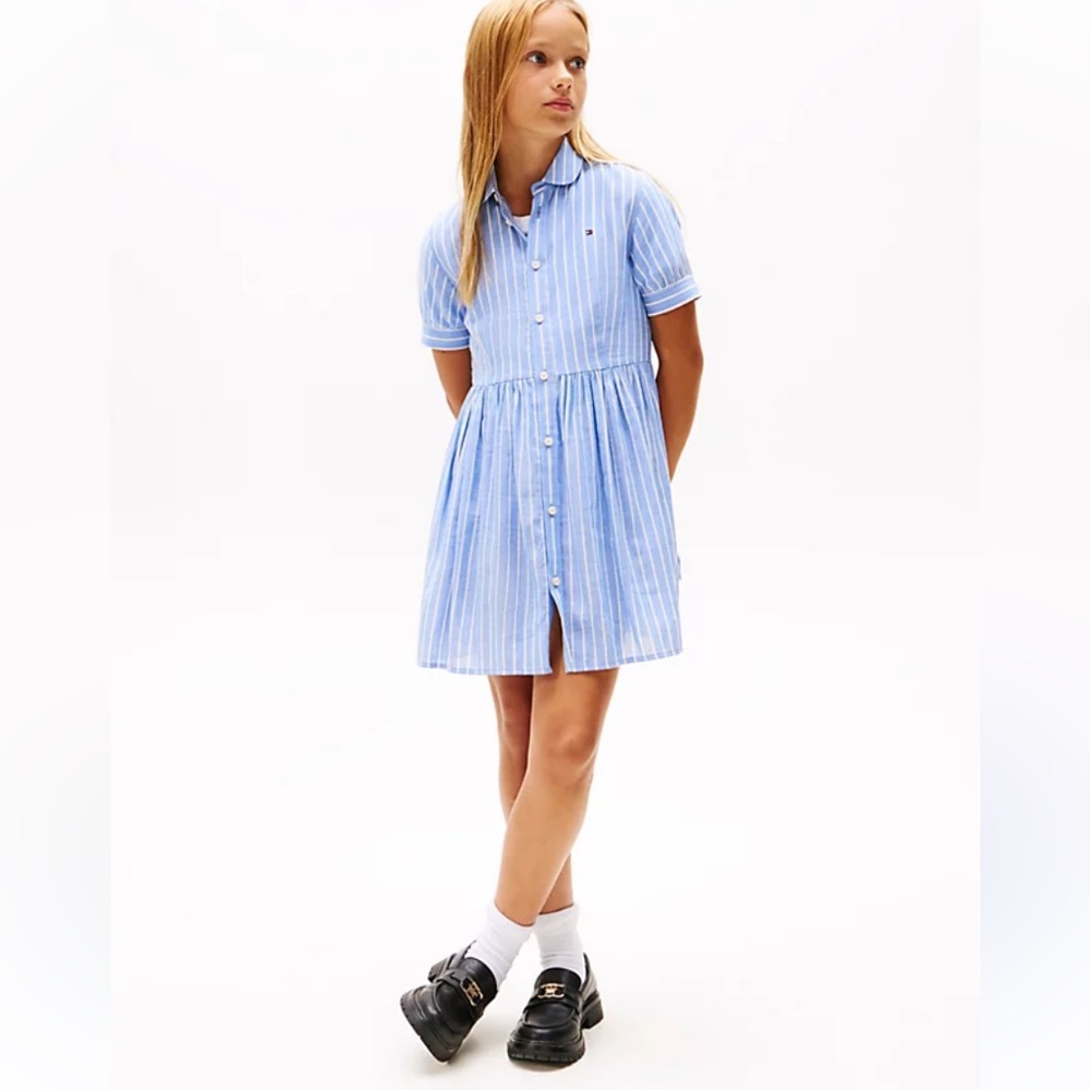 Polo Ralph Lauren Blue Striped Dress